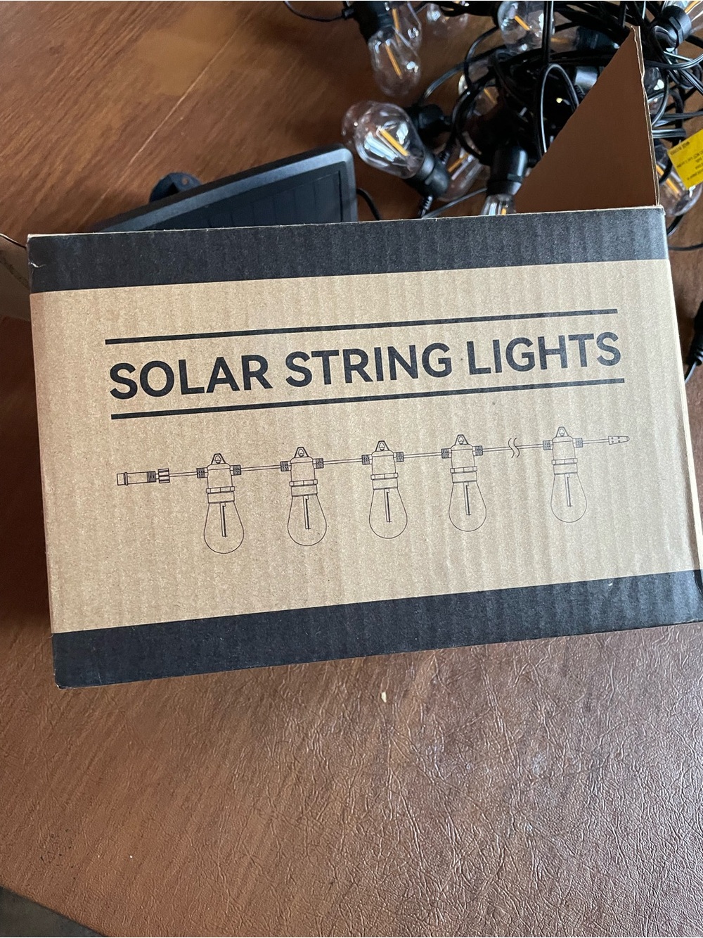 Solar String Lights - Black